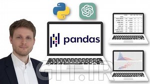 The Complete Pandas Bootcamp 2024: Data Science with Python