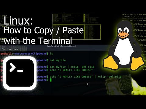 How to Copy/Paste with the Terminal (Linux Tutorial)
