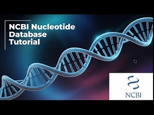 NCBI Nucleotide Database Tutorial | How to Search Genes & Download FASTA Sequences