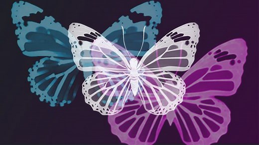 Image Processing Onramp Overview