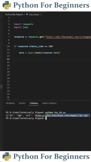How To Connect To An API With Python | Python For Beginners