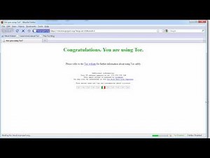Browse Securely with Tor: How to Install and Use