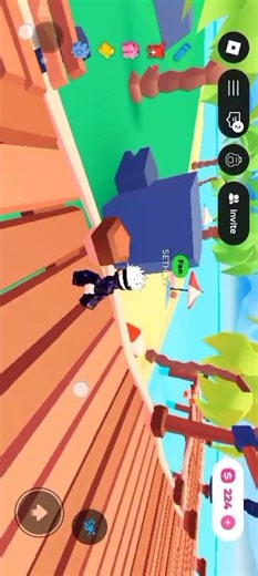 can you donate me user SETHGABBB111 display name SETH_YT