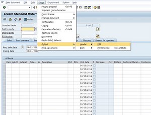 SAP Basics: Printing An Order & Looking At Order History
