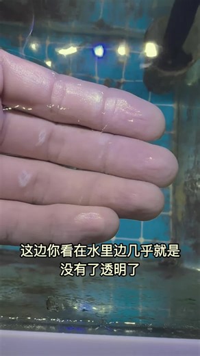 Mysterious Creature: Alien Invader or Not?