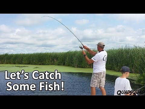 How to Catch a Fish - Fishing 101
