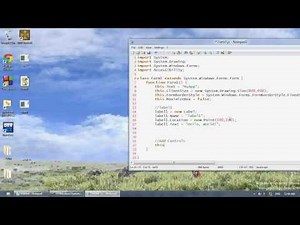 JScript .NET Tutorial 3 - Adding a Label