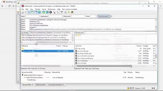How to Fix the Error Establishing a Database Connection in WordPress