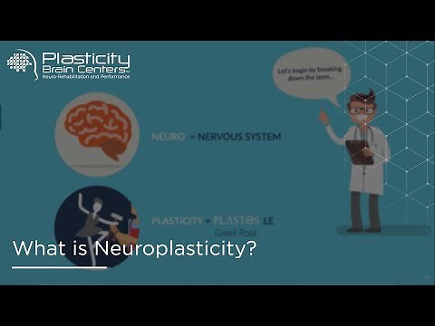 What is Neuroplasticity?