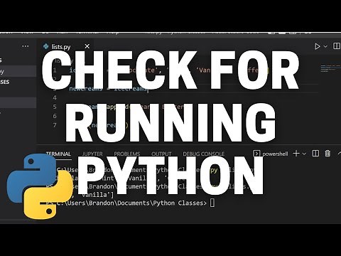 How to Check for Other Running Python Scripts in Python - Python Process Tutorial