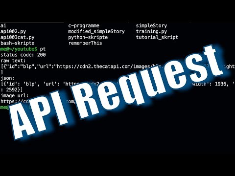 Python Lernen – Daten aus einer API abrufen