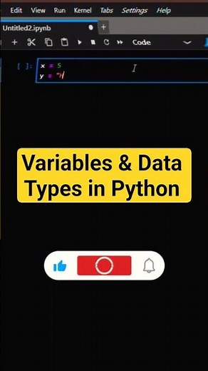 Basic Python Program | Variables & Data Types