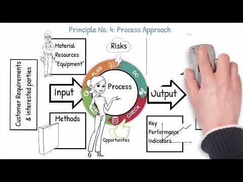 Seven Quality Management principles