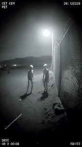 CCTV footage from a remote military outpost in the desert shows two captive aliens inside a reinforced observation cell—thin, gray-skinned, with oversized black eyes fixed on the reinforced glass. They don’t speak or move much, but their heads turn in perfect sync, tracking every shadow, every flicker of light, as if mapping the facility in their minds. One slowly raises a three-fingered hand and presses it against the wall, leaving no mark—but the camera glitches at that exact second. The base 