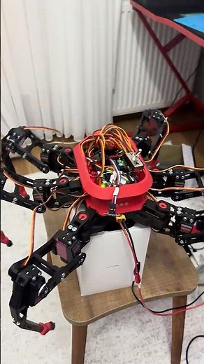 Hexapod Robot Walking | Tripod Gait | Raspberry Pi Zero 2W