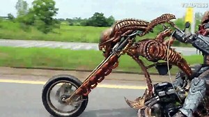 Predator On The Road