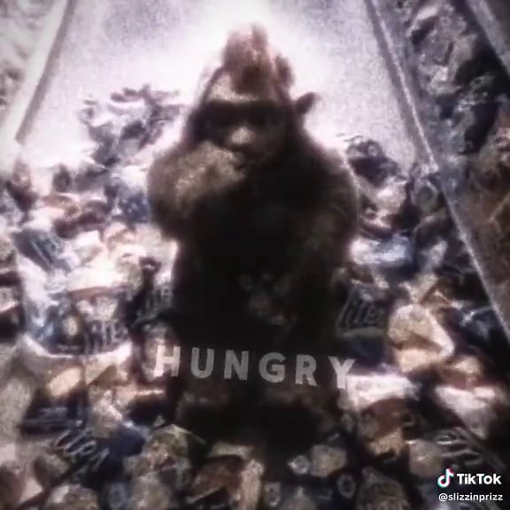 Alien's Quest for Potato Chips Ends in Disappointment