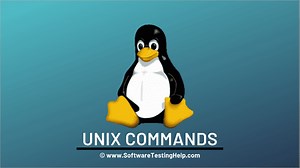 Unix Commands: Basic and Advanced Unix Commands with Examples