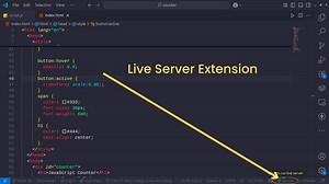 How To Build a Simple JavaScript Counter From Scratch | TechWithTwin
