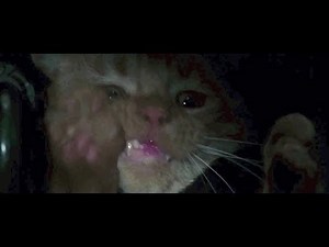 Alien 1979 - Altered Brett & Jonesy Scene (Version 1)