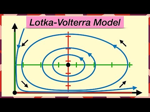 Predator-Prey Population Models || Lotka-Volterra Equations