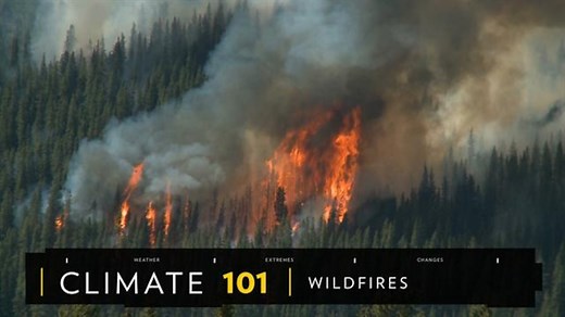 Wildfire safety tips, facts, and information