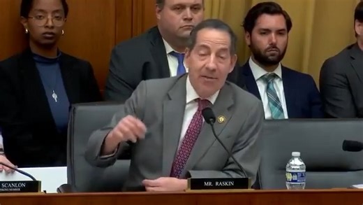 Rep. Raskin Demands the Return of the Illegal Alien Gang Members ‘Taken to El Salvador on that So-Called Plane Full of Gangbangers’ | Sean Hannity