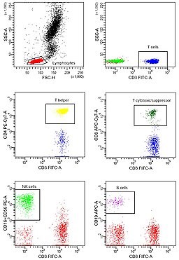Flow Cytometry - Protocol, Principle, Basics, Applications and Results