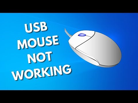 How To Fix USB Mouse Not Working on Windows 11/10