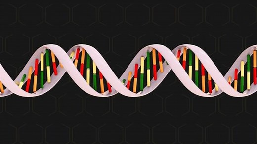 DNA, explained