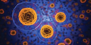 Biomedical Engineering Program Area