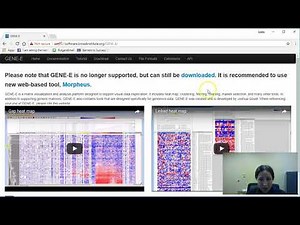 Simple Heat Maps with Morpheus
