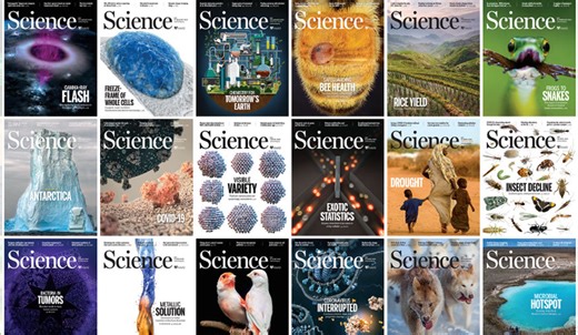 Research Preview: Science Magazine – Sept. 20, 2024