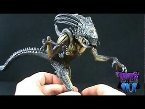 Toy Spot - Neca Alien VS Predator: Requeim Predalien figure