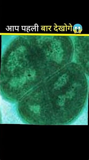 Alien bacteria #facts #sciencefacts #shorts