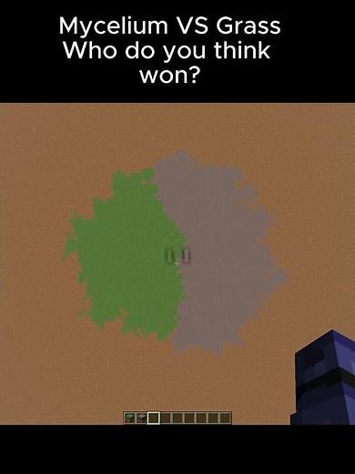 "eu au eua eau ea au" very inspirational words #minecraft #community #mine #craft #original