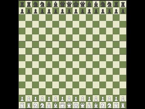 16x16 Chess