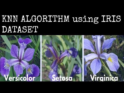 Implementation of KNN Algorithm using Iris Dataset in Jupyter Notebook | JAcademy