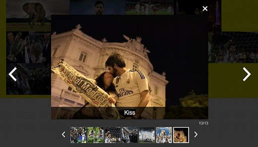 7 Best Vue.js Gallery Components To Showcase Images In An Elegant Way (2026 Update) - Vue Script