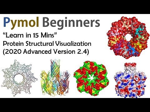 Pymol for beginners | Basic Tutorial Molecular Visualization of Proteins | Bioinformatics