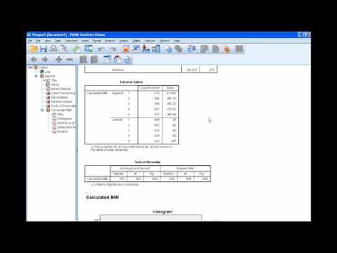 How to Compute BMI in SPSS