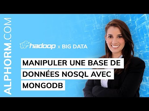 Formation Big Data & Hadoop : Comment manipuler une base de données NoSQL avec MongoDB