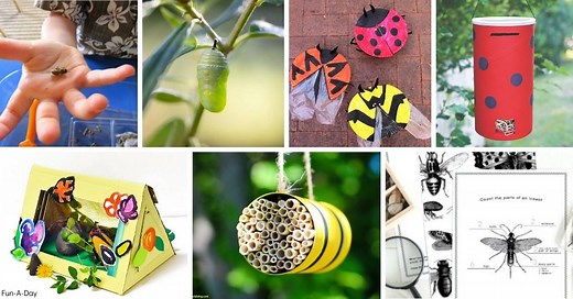 30  Insect Science Activities for Preschoolers