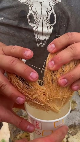 Epstein Island infiltration