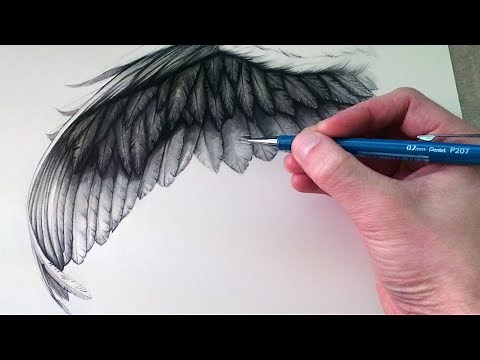 How to Draw a Wing