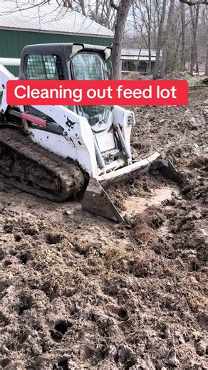 Cleaning out feed lot for better drying and less energy use on the cattle. #cattleranch #cattletok #farmtok #cattlefarmlife #missourifarm