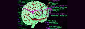 To the brain, reading computer code is not the same as reading language @MIT #Neuroscience