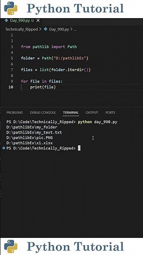 How Python Knows If a Path Is a File or Folder