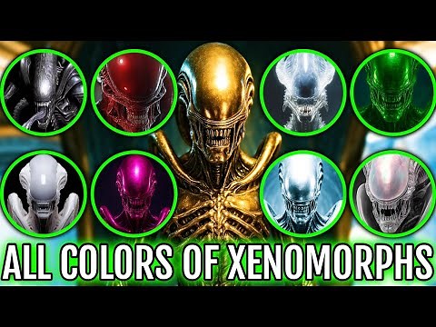 Complete Xenomorph Color Classification Guide - An Analysis of Chromatic Diversity in Alien Verse