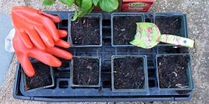 Environmental Education STEM Project Roundup! | Science Buddies Blog